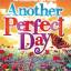 Various: Another Perfect Day