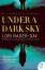 Lori Rader-Day: Under a Dark Sky: A Nove Lori Rader-Day: Under a Dark Sky: A Nove