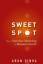 Arun Sinha: Sweet Spot