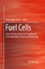 Klaus-Dieter Kreuer: Fuel Cells