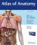 neues Buch – Anne M Gilroy Brian R MacPherson Jamie Wikenheiser Michael Schuenke Erik Schulte Udo Schumacher – Atlas of Anatomy – Bild 1