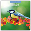 Red Robin Publishing Ltd: Birds 2025 Squ