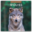 Red Robin Publishing Ltd: Wolves - Woelf