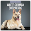 Red Robin Publishing Ltd: German Shepher