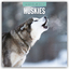 Red Robin Publishing Ltd: Huskies - Husk