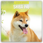 Red Robin Publishing Ltd: Shiba Inu 2025