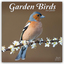 Avonside Publishing Ltd: Garden Birds - 