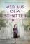Melanie Metzenthin: Wer aus dem Schatten Melanie Metzenthin: Wer aus dem Schatten