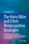 gebrauchtes Buch – Baron Levi – The Hairy Bikie and Other Metacognitive Strategies – Implementing a Frontal Lobe Prosthesis for Those Whose Learning Is Compromised – Bild 1