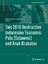 Two 2018 Destructive Indonesian Tsunamis