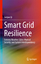 Junjian Qi: Smart Grid Resilience