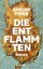 Simone Meier: Die Entflammten