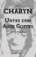 Jerome Charyn: Unter dem Auge Gottes - D