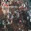 Patrick Weidmann: Patrick Weidmann Patrick Weidmann: Patrick Weidmann