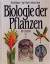 Raven / Evert / Curtis: Biologie der Pfl