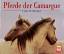 Silvester, Hans W.: Pferde der Camargue.