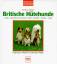 Britische Hütehunde – Collie, Sheltie, Bearded Collie, Bobtail, Border Collie, Welsh Corgie