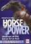 Ferran Witter, Rebekah: Horse Power