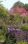 Judy Astley: Garten der Hoffnung. Roman Judy Astley: Garten der Hoffnung. Roman