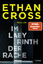 Ethan Cross: Im Labyrinth der Rache | Th