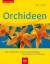 Orchideen – Die schönsten Arten und Hybriden. Auswählen und Pflegen