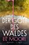 Liz Moore: Der Gott des Waldes | Roman |