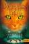 Erin Hunter: Warrior Cats. Stunde der Fi