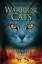 Warrior Cats. Geheimnis des Waldes - I, 