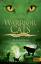 Erin Hunter: Warrior Cats - Blausterns P