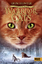 Erin Hunter: Warrior Cats - Zeichen der 