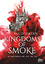 Sally Green: Kingdoms of Smoke – Die Ver