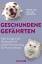 Achim Gruber: Geschundene Gefährten - Üb