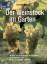 Christine Nack: Der Weinstock im Garten 