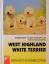 Inga Flamang: West-Highland-White-Terrie