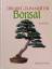 Horst Stahl: Der Weg zum Meister. Bonsai