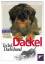 Dackel – Teckel, Dachshund