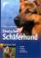 Anna Laukner: Deutscher Schäferhund