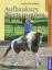 Peter Kreinberg: Aufbaukurs Westernreite Peter Kreinberg: Aufbaukurs Westernreite