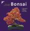 Stahl, Horst; Rüger, Helmut: Bonsai - Ge Stahl, Horst; Rüger, Helmut: Bonsai - Ge