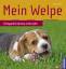 Christiane Blenski: Mein Welpe - Entspan