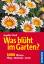 Angelika Throll: Was blüht im Garten?: 1