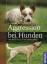 Renate Jones: Aggression bei Hunden: Von