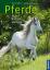 Ulrike Amler, Gabriele Metz: Pferde – Re Ulrike Amler, Gabriele Metz: Pferde – Re