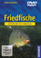 Andreas Janitzki: Friedfische: Erfolgrei