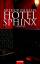 Arthur Phillips: Hotel Sphinx : Roman