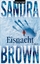 gebrauchtes Buch – Sandra Brown – Eisnacht – Bild 1