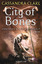 Cassandra Clare: City of Bones: Chronike