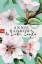 gebrauchtes Buch – Annie Barrows – In Liebe, Layla – Bild 1