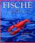 Desconocido: Fische und Meeresfrüchte. 4