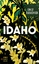 Emily Ruskovich: Idaho